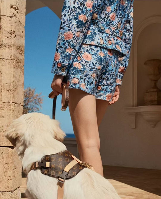 '25 New! 💎 Leather Pet Harness Set - Genuine Cowhide, Luxury Style