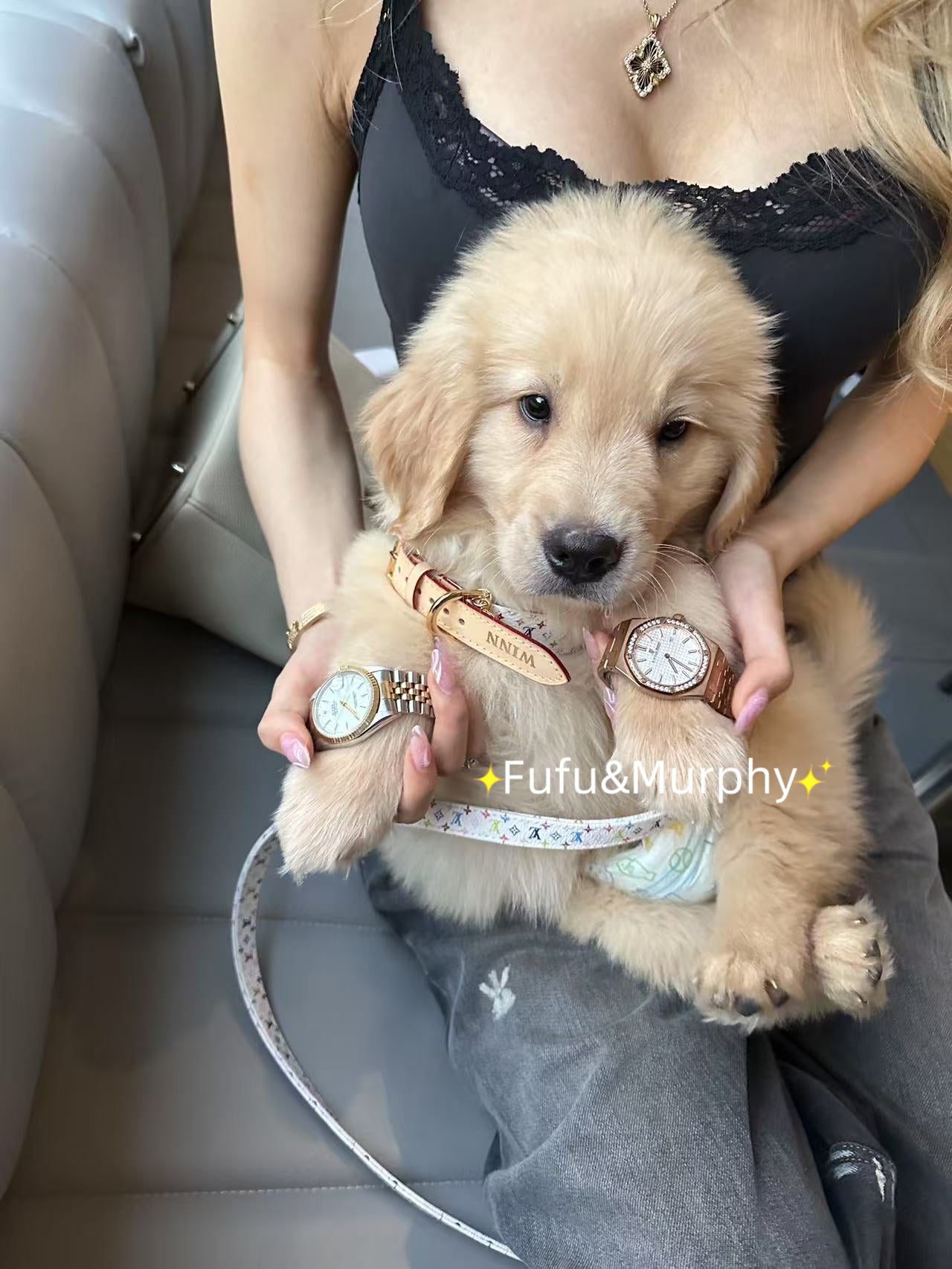 Luxury White Multicolor Monogram Collar for a Stylish Pet