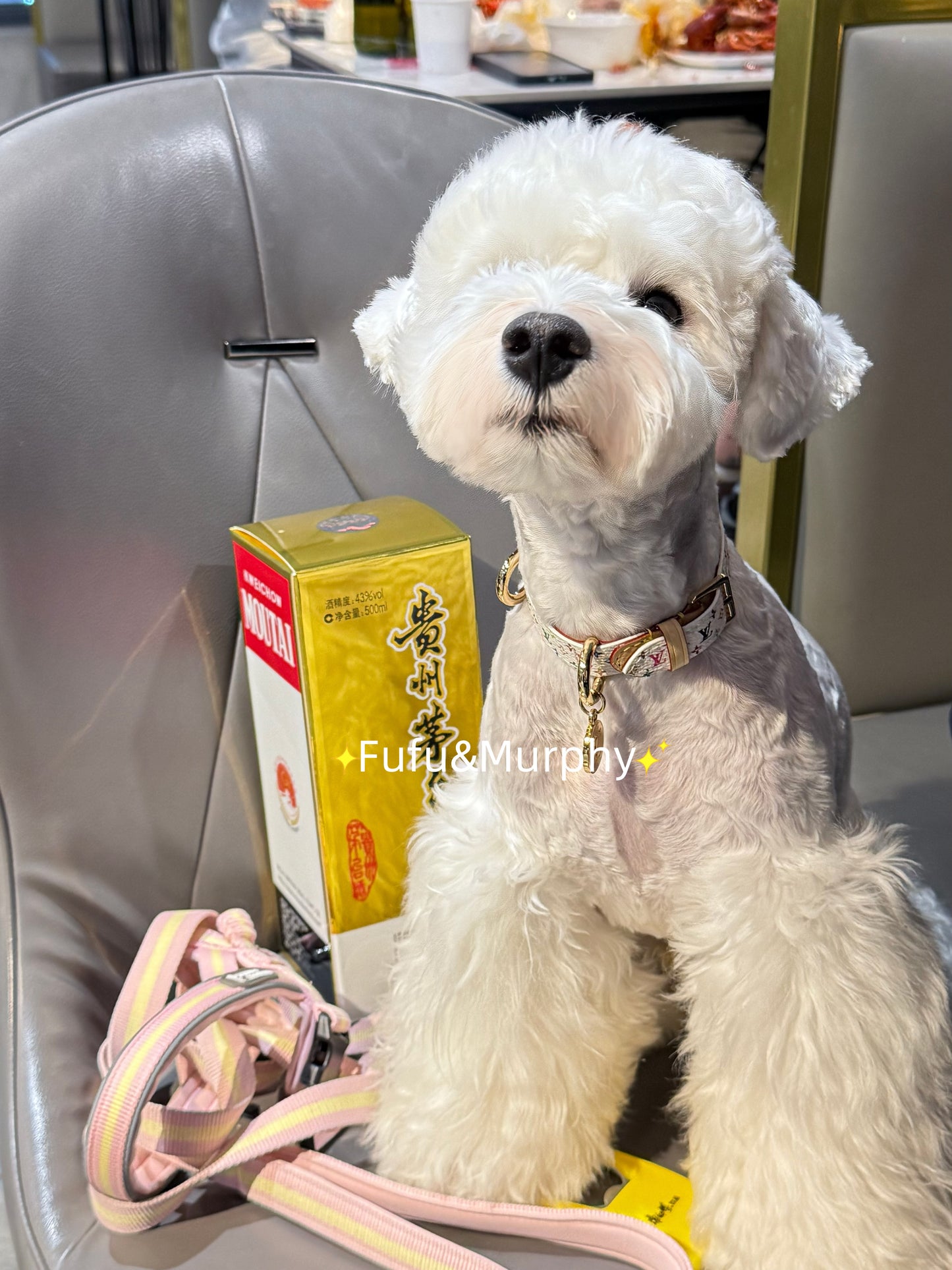 Luxury White Multicolor Monogram Collar for a Stylish Pet