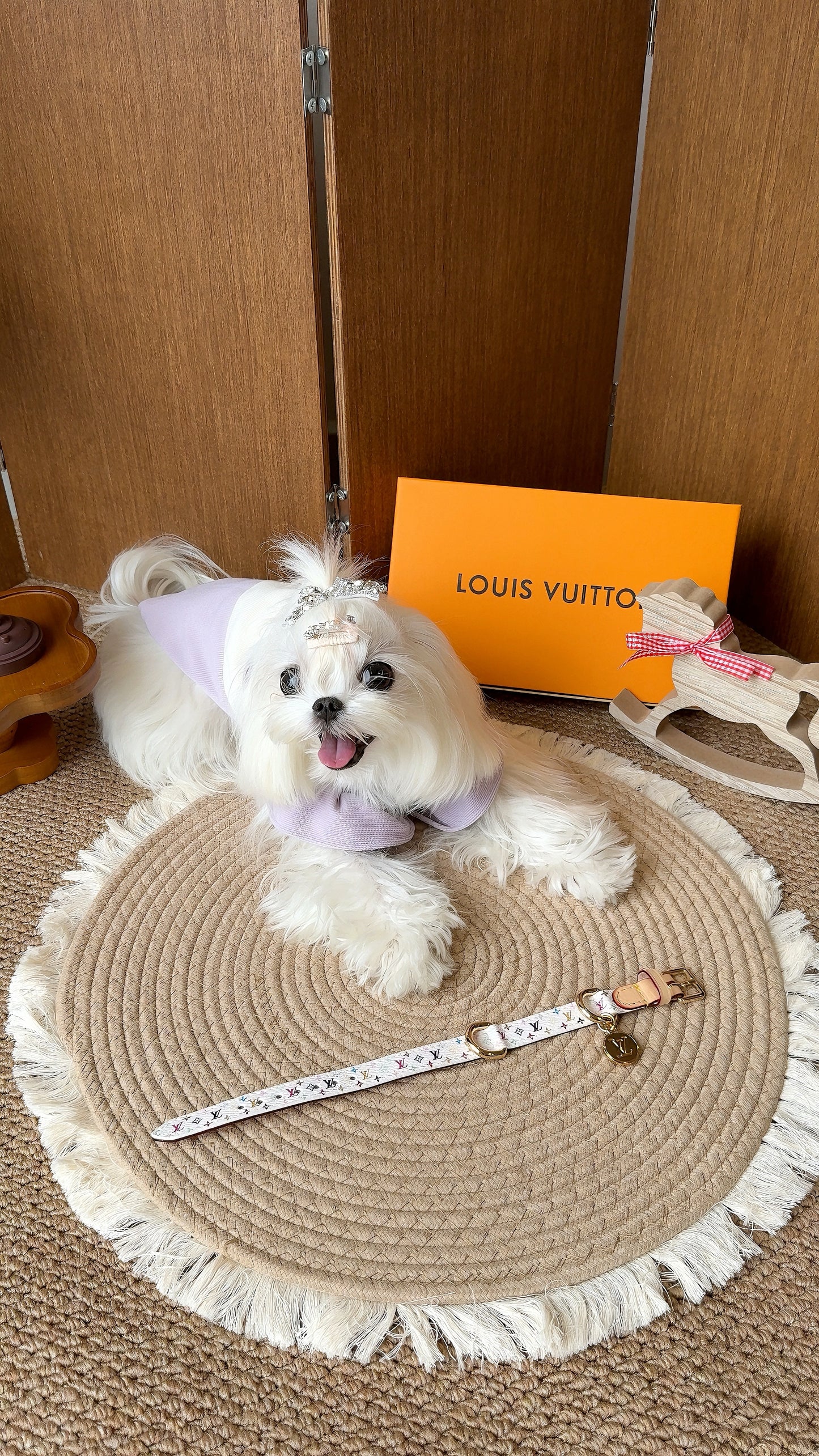 Luxury White Multicolor Monogram Collar for a Stylish Pet