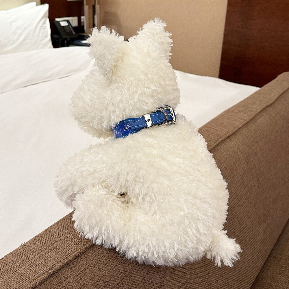 Luxury Canvas Pet Collar &amp; Leash Set - Premium Leather Craftsmanship