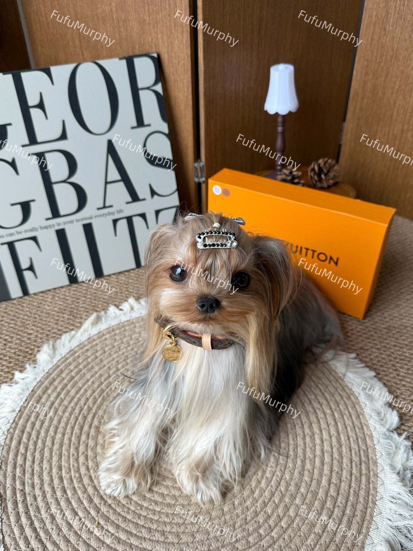 Signature Patterned Leather Pet Set | With Custom Monogramming Option