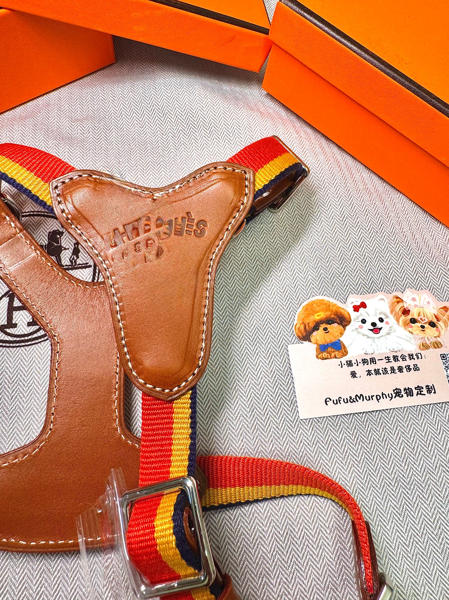 🐶Premium Canvas &amp; Leather Harness Set - 💎 FREE Custom Engraved Tag