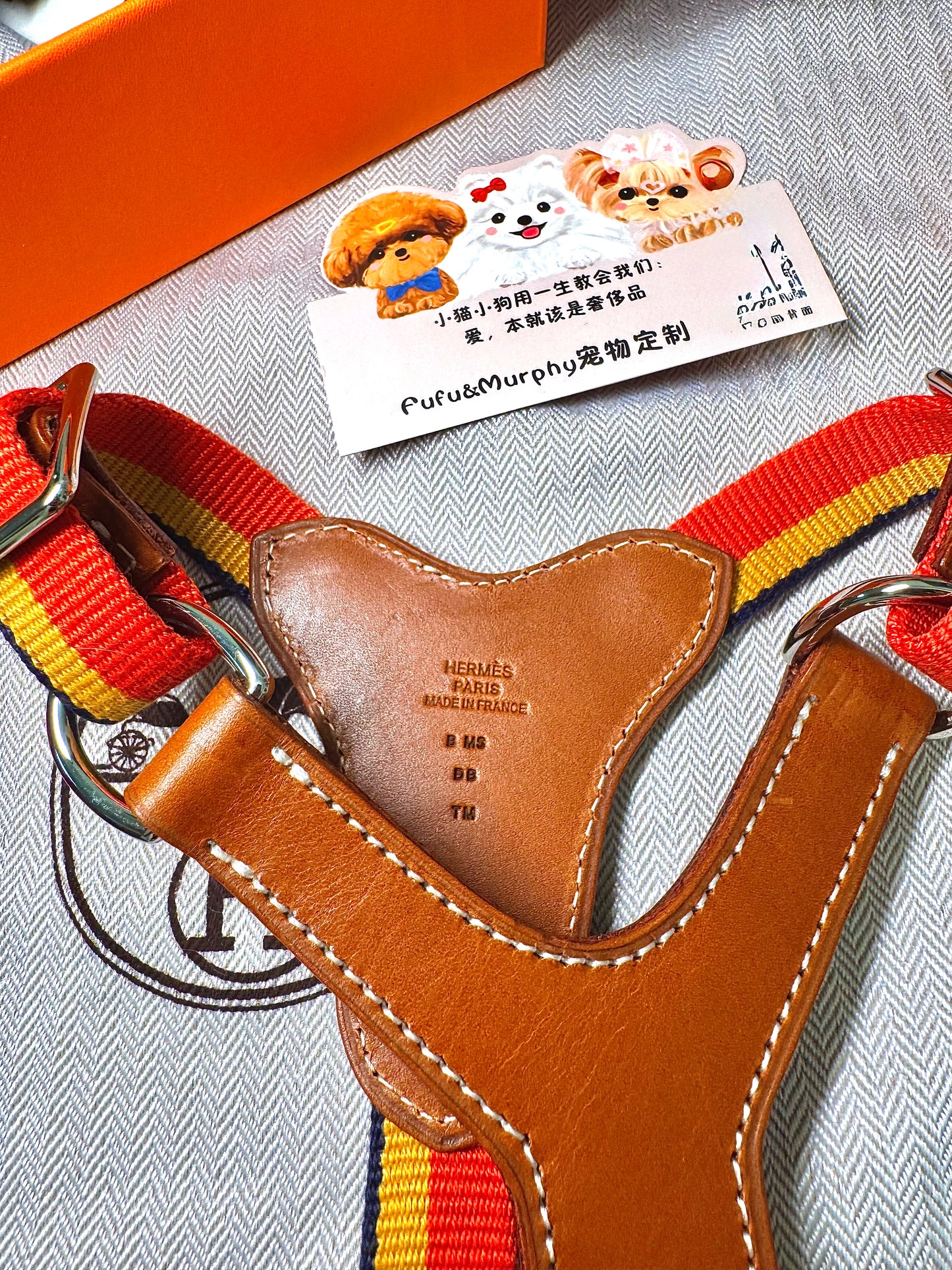 🐶Premium Canvas &amp; Leather Harness Set - 💎 FREE Custom Engraved Tag