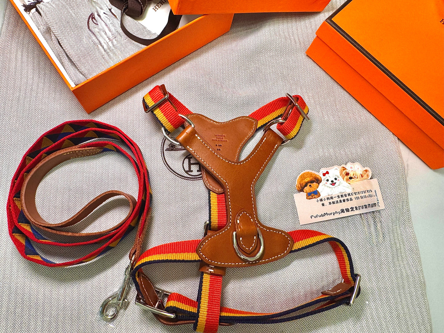 🐶Premium Canvas &amp; Leather Harness Set - 💎 FREE Custom Engraved Tag