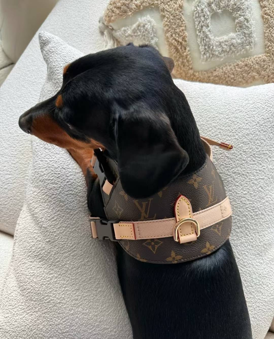 '25 New! 💎  Leather Pet Harness Set - Genuine Cowhide, Luxury Style