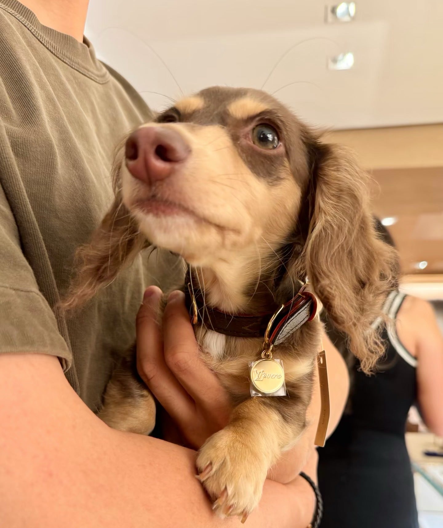 Signature Patterned Leather Pet Set | With Custom Monogramming Option