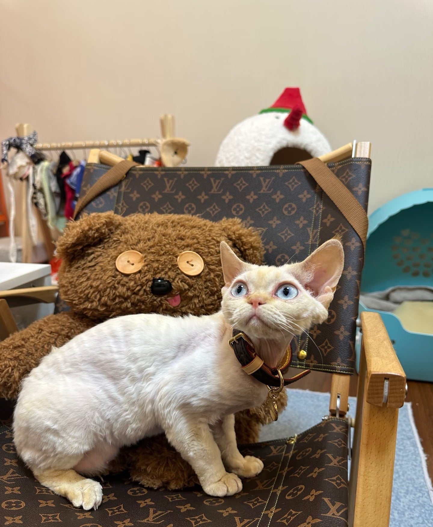 Signature Patterned Leather Pet Set | With Custom Monogramming Option