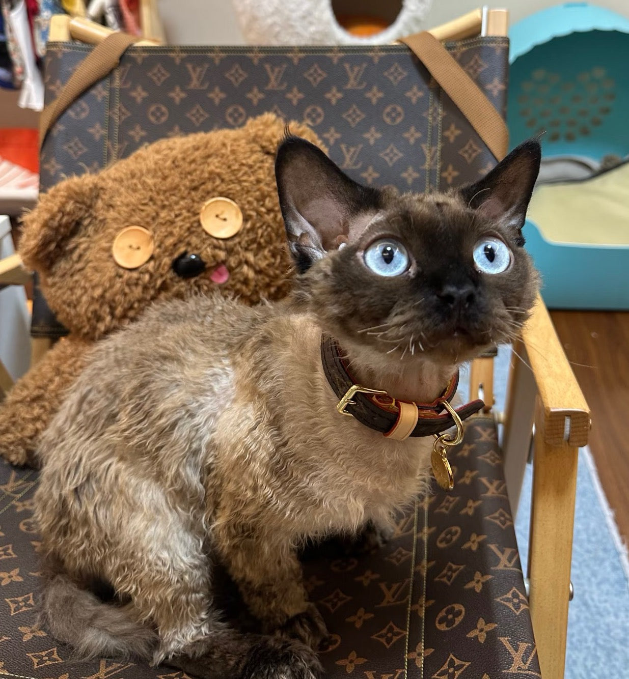 Signature Patterned Leather Pet Set | With Custom Monogramming Option