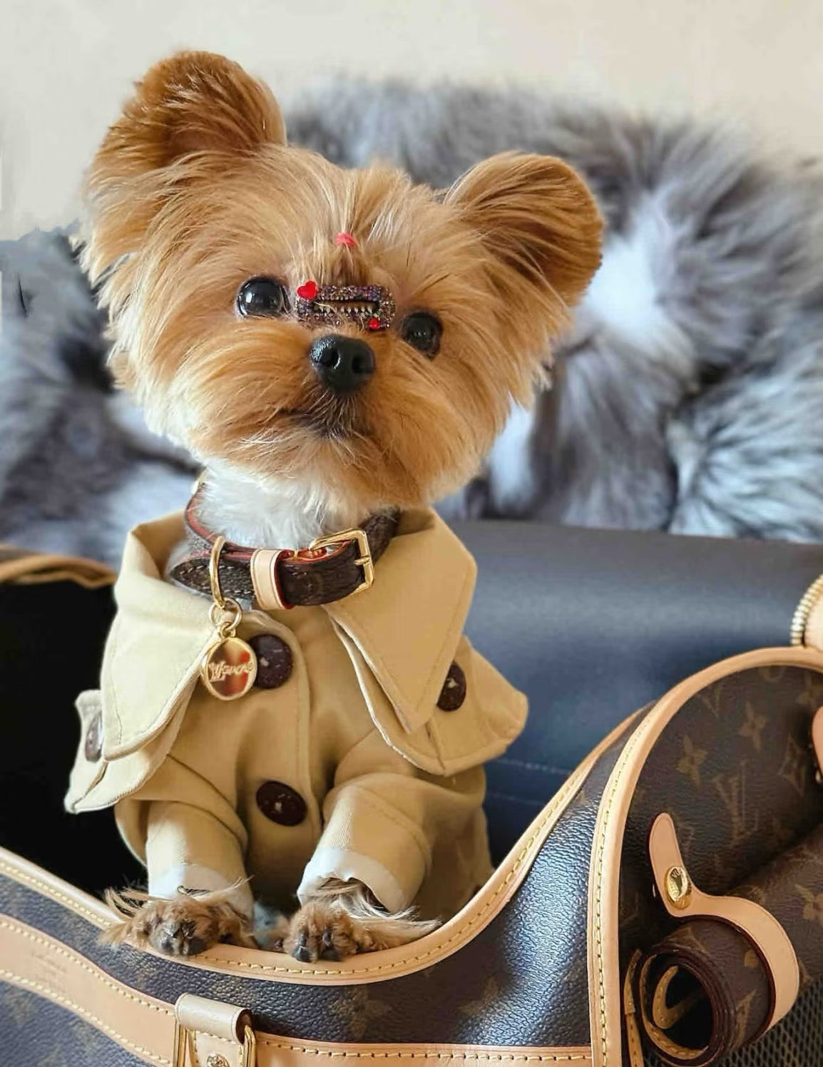 Signature Patterned Leather Pet Set | With Custom Monogramming Option