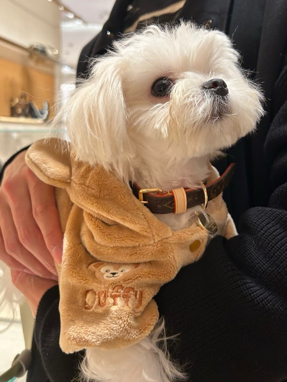 Signature Patterned Leather Pet Set | With Custom Monogramming Option