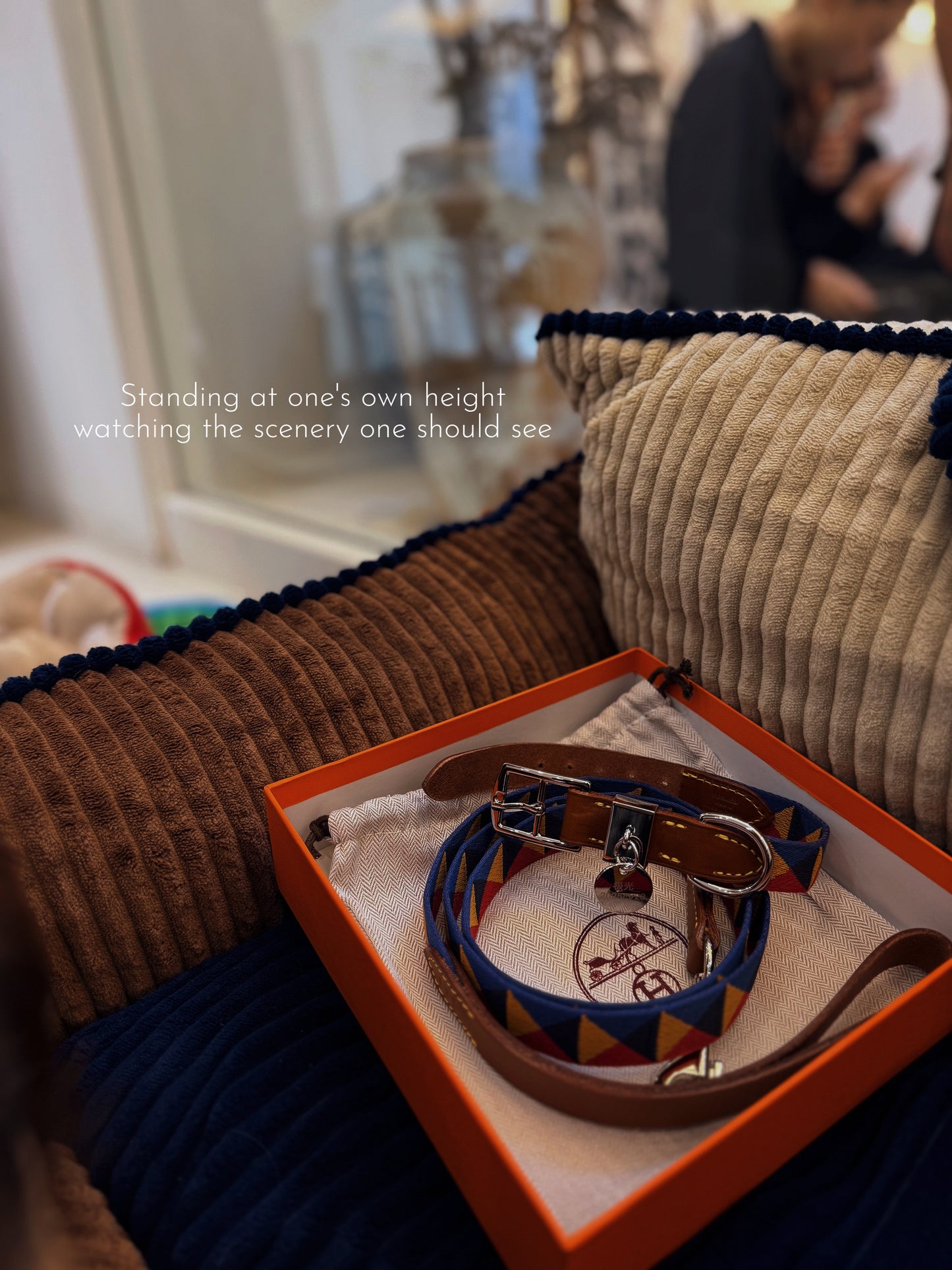 🐶Premium Canvas &amp; Leather Harness Set - 💎 FREE Custom Engraved Tag